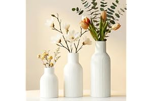 OFFASST Set med 3 vita keramiska vaser | Ikonisk vas för Pampas och torkade blommor
