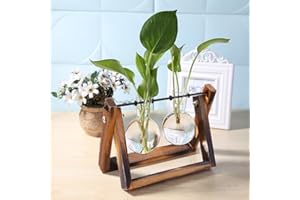 FIORKY Glass Planter Bulb Vase, Desktop Air Plant Terrarium Kit with Retro Solid Wooden Stand, Plant Propagation Stations Terrarium for Indoor Water Plants Home Garden Office Decoration Accessories