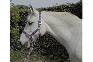 Rhinegold Carnival - Juego de Collar y Cuerda a Juego