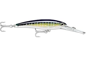 Rapala X-Rap Magnum 10 Leurre