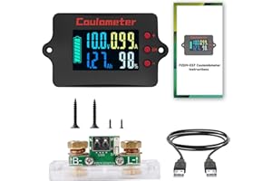 DEWINLVD 100 A Battery Monitor 12 V 24 V 36 V 48 V Battery Monitor 8-120 V Battery Guard Universal Lithium Battery Voltage Ammeter Pure Copper Current + 2 m USB Cable (Colour Screen)