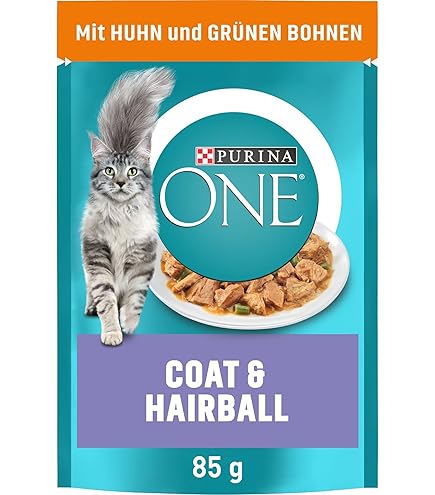 PURINA ONE Kattenvoer droog adult kip 6 kg kopen! | HORNBACH