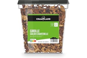 CHAMPILAND - Girolle séchée - Champignons Sylvestres Sélectionnés, et Triés à la Main- Saveur Exceptionnelle - Champignons Riches en Protéines et source de fibres - Pot de 500 g