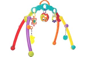 PLAYGRO Fold and Go Playgym