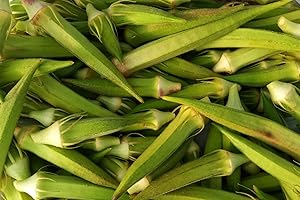 MES GRAINES POTAGÈRES Lot de 50 Graines de Gombo (Okra) Clemson Spineless - plante sans épine - facilite culture et cueillette - un classique aux fruits verts - 12/14 cm de long - productif - semences reproductibles.