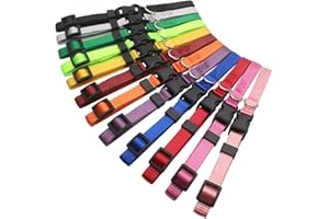 HOLLIHI - Juego de 12 Collares de identificación para Cachorros de Nailon Suave para Cachorros con Cartas de Registro y Cuello de 21,6 cm a 34 cm