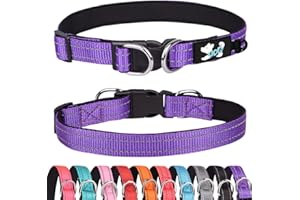 Haoyueer Wyściełana obroża dla psa, odblaskowe obroże dla małych, średnich i dużych psów, wygodna, miękka, neoprenowa, regulowana, podstawowa obroża dla psów (S, fioletowa)