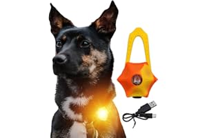 LaRoo Dog LED Collar Light 3 Modes,Silicon Waterproof Flashing Light Up Pendant Clip on Dog Collar Charms,Safety Blinker Light for Night Walking Outdoor Sport