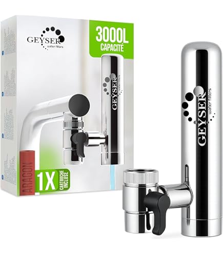 Mophorn Système de filtration d'eau par gravité 2,25 G, acier