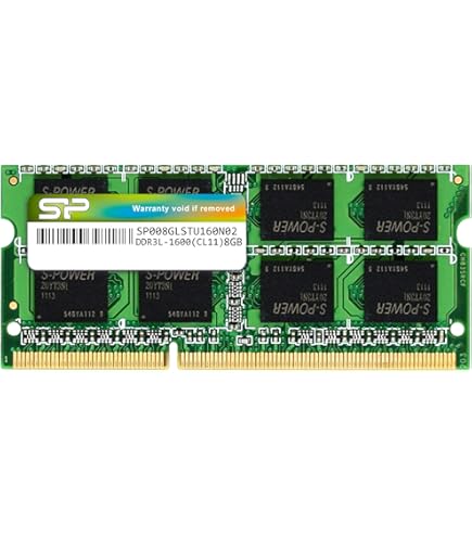 MÉMOIRE D'ORDINATEUR LGS 8 Mo EDO RAM GM71C18160BJ6 72 broches EUR 2,25