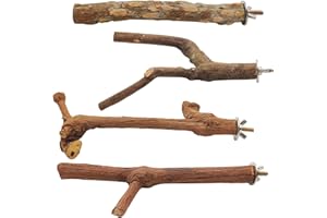AYWFEY 4 Pcs Bird Perches for Cage, Natural Wood Bird Parrot Perch Stand, 2 Grape Wood Perches, A Stand Fork Standing Branch, A Paw Grinding Fork, Budgie Perch for Cage, Birdcage Sticks for Budgies Parakeets