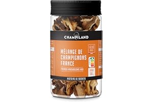 CHAMPILAND - Mélange de Champignons France Séchés - Pleurote, Shiitaké, Champignon de Paris, Chanterelle - Triés à la Main dans le Sud-Ouest de la France - Saveur Exceptionnelle - Pot de 30 g