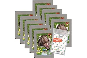 ‎COLLECT-IT.DE MY HOME OF CARDS + TOYS collect-it.de MY HOME OF CARDS + TOYS Exklusive Aufbewahrungshüllen im Bundle mit Blue Ocean Dinosaurier 2022 - Sammelsticker - 10 Tüten