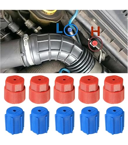 20 Bouchons De Valve Climatisation Voiture - Remplaçants Universels R134a - Taille 13mm & 16mm - ABS étanche - 13