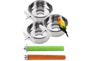 PINVNBY Parrot Food Water Bowls Bird Feeding Dish Cups Budgie Feeder with Clamp Stainless Steel Canaries Perches for Macaw Conure Lovebird Finch Small Animal 5 Pack