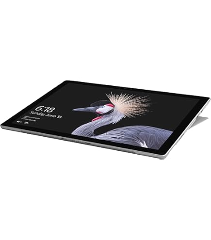 2017 Microsoft Surface Pro 5 con Intel Core i7-7660U (12.3-pollici