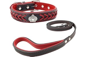 Newtensina Dog Collar and Lead Set Nylon Straps Woven Bling Collar Leather Diamante Puppy Collar with Leash for Dogs - Red - L