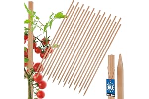 KOTARBAU® Lot de 20 piquets de clôture pour tomates - 120 cm - Poteaux en bois pointus - Support pour plantes - Support de clôture - Tuteurs de plantes en bois pour stabiliser les plantes