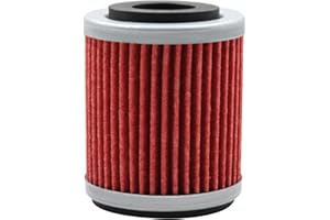 AHL Filtre à Huile pour YAMAHA YFM350R RAPTOR 350 2004-2007 2009-2013