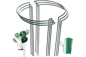 MUAEEOK 6 Pack 25x60cm Plant Support Stakes, Metal Garden Plant Stake, Outdoor Tall Plant Support Ring Cage,Large Plant Supports for Tomato,Vegetable, Rose,Flowers Vine (25x60cm)