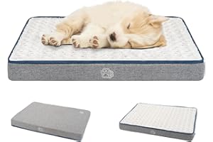 EMPSIGN Cama Perro Mascotas Impermeable Doble Cara (Cálido y Frío), Funda Extraíble Lavable a Máquina, Alfombrilla de Cama para Perros Grande para Dormir (Small, Gris)