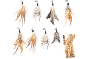 Neerow 8 Stück Katzenspielzeug Federn mit Glocken, Federspielzeug für Katzen aus Naturfedern, Feder Katzenangel Anhänger, Ersatzfedern Zubehör für Bewegung und interaktives Spiel (Natürliche Farben)
