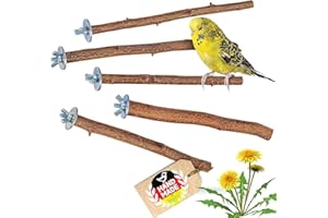 Vogelgaleria® 5 herrliche Natur Sitzstangen für Vögel wie Wellensittich, Nymphensittich, Kanarienvogel, Agaporniden | Naturholzstangen für den Vogel als wichtiges Vogelzubehör im Vogelkäfig | Zubehör