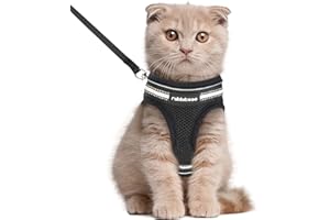 rabbitgoo Arnes Gatos y Correa 150cm Chaleco Ajustable Antitirones Reflectante Cómodo Correa Mágica para Fácil de Poner y Quitar para Paseo Diario Arnes para Perro Pequeño Conejos Gatos L Negro