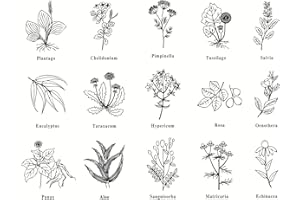 JUSPOTA Silikonstempel Set, Clear Stamp, Silikon Stempel mit Natürliche Pflanzen Mustern, Briefmarken für Kartenbasteln, Scrapbooking Fotoalben, Geschenkverpackungen, 15 Motive, Ø 2 cm | 3 cm