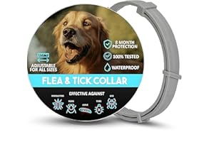 MeraPrime® Collar Antiparasitario Perros | Collar Leishmaniosis (Mosquitos), Pulgas y Garrapatas | Antipulgas y Garrapatas Perros Medianos y Grandes | 72cm Ajustable, 8 Meses, Vegetal, Impermeable