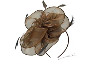 DRESHOW Femmes Fascinator Chapeau Fleur Mesh Plume Mariage Dames Day Bandeau et Clip Cocktail Tea Party Chapeau