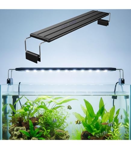 Chihiros LED Lighting System - WRGB-60 (65 Watt | Suitable for 60