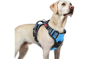 rabbitgoo Uprząż dla psa dla dużego psa z klamrą zwalniającą szyję, regulowana, zapobiegająca ciągnięciu, miękka wyściełana z przednimi klipsami z tyłu i łatwym uchwytem do kontroli, odblaskowa uprząż