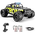 Dexinco Remote Control Car, 4WD Toy Off-Road Vehicle All Terrains Off-Road Electric Vehicle 1/18 Scale 40 km/h RC Car with 2 Rechargeable Batteries Gift for Children and Adults