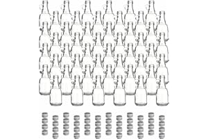 gouveo Lot de 48 bouteilles en verre 40 ml avec anse et bouchon à vis argent - mini bouteille à bouchon pivotant pour le remplissage - bouteille à petite anse pour liqueur, schnaps, huile (HF040SS)