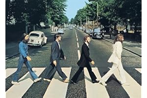 Meecaa Paint by Numbers The Beatles Street Kit for Adults Beginner DIY Oil Painting 16x20 inch (The Beatles, No Frame)