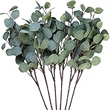 Peoxio 3 Stück künstliche Eukalyptusblättersprays in grün, 64,8 cm hoch für Party Home Hochzeit Decor, Silver Dollar grün