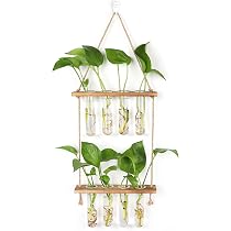 Vase Mural Grovind Terrarium Mural 3 Niveaux - Vases En Verre Avec Support Bois - Hydroponie Et Décoration Support Bois Tubes Verre