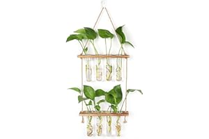 Hyindoor Hängende Propagation Station Wandvase Reagenzglas Vase Vermehrungsstation Für Hydrokultur Pflanzen Vintage Dekovase Mit Holzregal Für Hause Büro Wohnzimmer Küche,8 Rohr, 2 Stufen