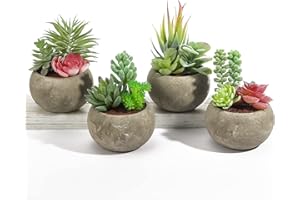Vasemouh Succulente Artificiali Set di 4,Succulente Finte, Decorazione per Casa, Ufficio, Scuola