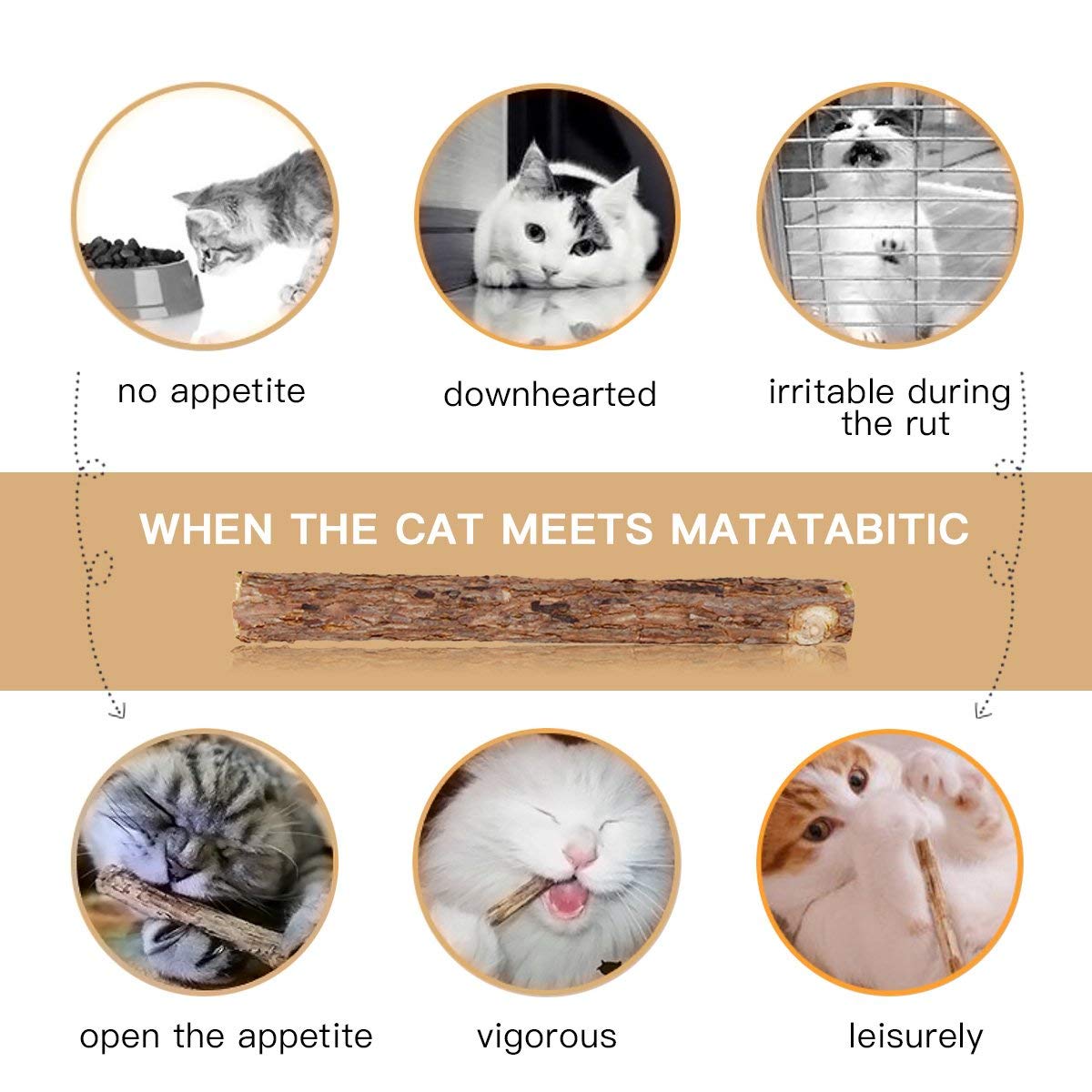 AIDIYA-Cat-Herbe--Chat-Btons-100-Bio-Naturel-Matatabi-Dentaire-friandises-de-Dents--mcher-Jouets-Olfactive-Enrichissement-pour-Chat-Lot-de-20-pcs