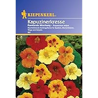 Kiepenkerl Rankender Kapuzinerkresse-Mix, 1 Tüte Samen