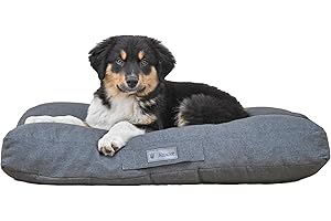 MaxCor Coussin Chien Rectangulaire à Mémoire de Forme Orthopédique - Moyen Anthracite - Imperméable et Relaxant - Soulage et Préserve Les Articulations - Ne se Déforme Pas et Lavable en Machine