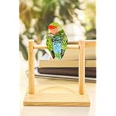 h Stand for Alyones Parrot & Budgie Training, Wooden Game Stand Portable Training Playground