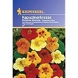 Kiepenkerl Rankender Kapuzinerkresse-Mix, 1 Tüte Samen