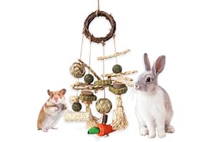 Vlecexs Jouet à Mâcher Lapin, Jouets pour Lapins, Jouet à Ronger pour Lapin, Accessoires pour Lapins, Chinchillas, Cochon d'Indes, Hamsters et Autres Rongeurs