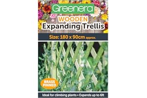 VIVO TECHNOLOGIES Wooden Trellis Expandable Garden Wall Trellis for Climbing Plants Wall Trellis Fence Panel for Patio Garden, 180x90 cm, Green