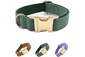 NICOLA Obroża dla zwierząt domowych, bawełniana obroża dla psa, zielona obroża dla psa, z metalową klamrą zabezpieczającą, dla małych psów (rozmiar M, zielona)