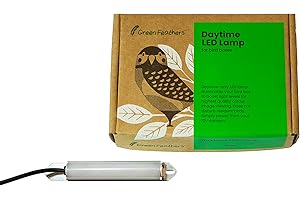 Green Feathers Daylight White LED Light for Nest and Bird Boxes, Perfect for use with 12V Bird Box Cameras - Power Supply Included