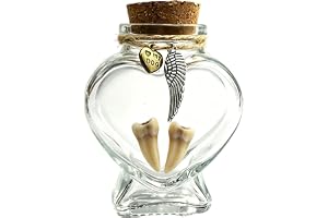 Pet Hair Keepsake Bottle - Alloy, Memory Preservation Decoration,Pet Memorial Teeth Hair Collector Bottle,for Dorm School Com